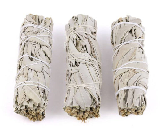 4" California White Sage Bundle – Cleansing, Purification & Air Refreshing
